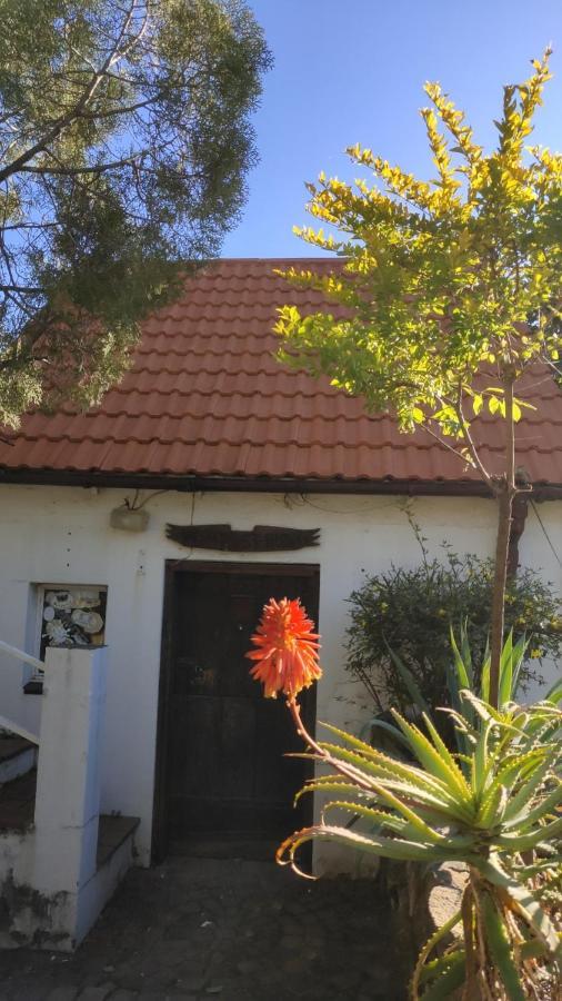 Atlantic Pearl Guest House Midrand Exteriér fotografie